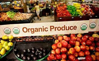 The Importance of Organic Label