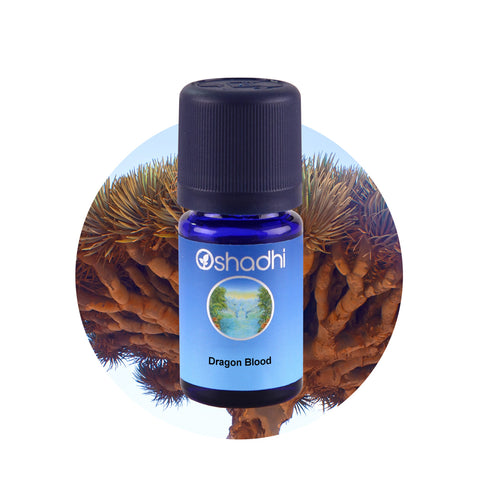 Oshadhi Dragon Blood Essential Oil น้ำมันหอมระเหย (10 ml) - Organic Pavilion