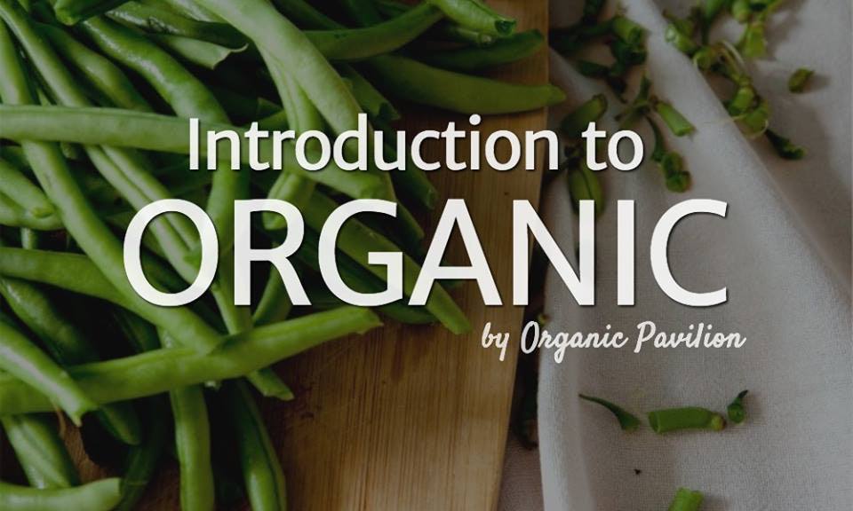 What is Organic and Natural food?