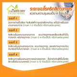 Ban Mor Laong Rid Herbs Balm For The Hemorrhoids Problem บ้านหมอละออง บาล์มริดเฮิร์บส บาล์มสมุนไพรทาริดสีดวง (10g / 30g) - Organic Pavilion