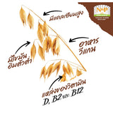 Natural & Premium Oat Grains (300g) - Organic Pavilion