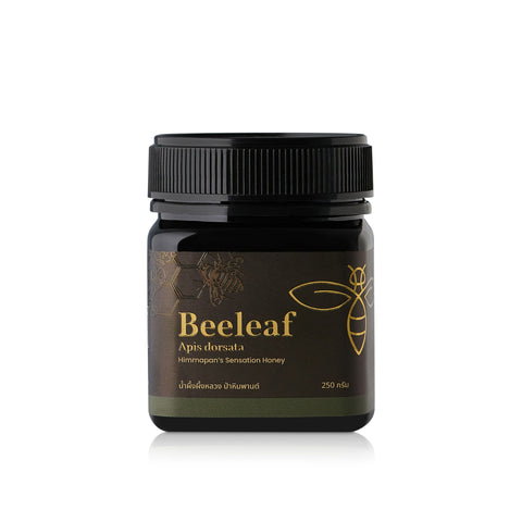 Beeleaf Honey Apis Dorsata Himmapan's Sensation Honey บีลีฟ น้ำผึ้งจากผึ้งหลวง ป่าหิมพานต์ (250 g)