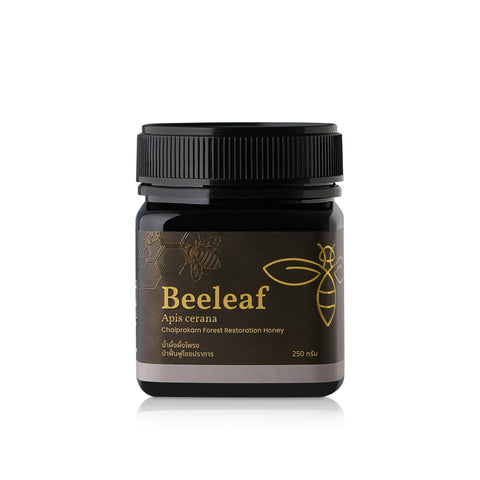 Beeleaf Honey Apis Cerana Chaiprakarn Forest Restoration Honey บีลีฟ น้ำผึ้งจากผึ้งโพรงในป่าฟื้นฟูไชยปราการ (250 g)