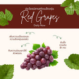 Coconat Garden โคโค่นัทการ์เด้น สบู่น้ำมันมะพร้าว Cococnut Oil Soap โคโค่นัทการ์เด้น สบู่น้ำมันมะพร้าว (100g) - Organic Pavilion