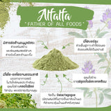 (Buy 1 Free 1) Organic Seeds Alfalfa Powder (50g) - Organic Pavilion