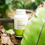 Ban Mor Laong Herbal Capsules for Relieves itchy skin rashes บ้านหมอละออง แคปซูลสมุนไพรบรรเทาอาการผื่นคันตามผิวหนัง (100 Capsules) - Organic Pavilion