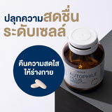 Autophile Autophile Plus Vitamin For Adults Aged 30+ ออโตฟีล ผลิตภัณฑ์ ออโตฟีล พลัส วิตามินสำหรับคนวัย 30+ (30 Tablets)