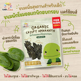 Care Choice  12M+ Children Healthy Snacks 4 Flavors  แคร์ช้อยส์ ของกินเล่นเด็ก 12 เดือน+ 4 รสชาติ - Organic Pavilion