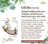 Ban Mor Laong Gastric and Stomach Pain Capsules บ้านหมอละออง แคปซูลสมุนไพรขับลม (50 Capsules) - Organic Pavilion