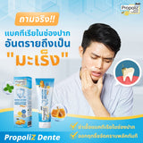 Propoliz โพรโพลิซ เดนเต้ เนเชอรัล ทูธเพสท์ Dente Natural Toothpaste (100 g) - Organic Pavilion