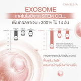 Camellia Time Delay Serum คามิเลีย ไทม์ ดีเลย์ เซรั่มดูแลจุดซ่อนเร้น (30 ml)