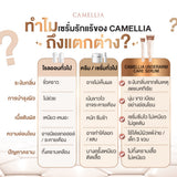 Camellia Underarm Care Serum คามิเลีย อันเดอร์อาร์ม แคร์ เซรั่มบำรุงผิวใต้วงแขน (15 ml)