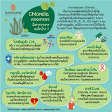 Rawganiq Organic Spirulina & Chlorella Powder ผงสาหร่ายสไปรูลิน่าและคลอเรลลาออร์แกนิค (100g)