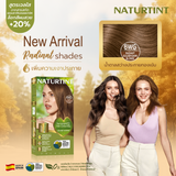 Naturtint ผลิตภัณฑ์เปลี่ยนสีผม - 6WG (Radiant Golden Dark Blonde / น้ำตาลสว่างประกายทองเข้ม) Permanent Hair Colour Gel (170 ml)