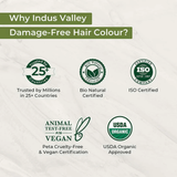 Indus Valley Damage Free Gel Colour อินดัส แวลลี ผลิตภัณฑ์สมุนไพรปิดผมขาวออร์แกนิกจากประเทศอินเดีย (220g / 65g)