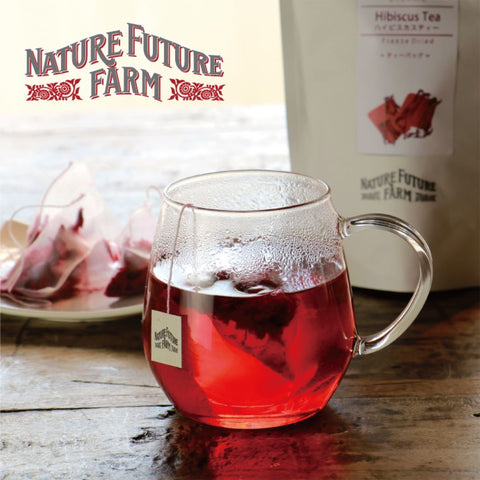 Nature Future Farm Organic Tea เนเจอร์ฟิวเจอร์ฟาร์ม ชาออร์แกนิค (10 Tea Bags) - Organic Pavilion