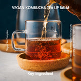 Dr.Ceuracle ดร.ซูราเคิล วีแกน คอมบูชา ที ลิป บาล์ม Vegan Kombucha Tea Lip Balm (3.7 g) - Organic Pavilion
