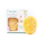 Bebe Ploen เบเบ้ เพลิน ออร์แกนิค ฟองน้ำอาบน้ำเนื้อนุ่มจากธรรมชาติ (S / M / L / XL) Organics Natural Silky Sea Sponge - Organic Pavilion