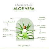 Curaloe เคออะโล อโลเวร่า เฟเชียล เอ็กซ์โฟลิเอเตอร์ Aloe Vera Facial Exfoliator (50 ml) - Organic Pavilion