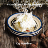 Dr.Ceuracle ดร.ซูราเคิล วีแกน คอมบูชา ที ลิป บาล์ม Vegan Kombucha Tea Lip Balm (3.7 g) - Organic Pavilion