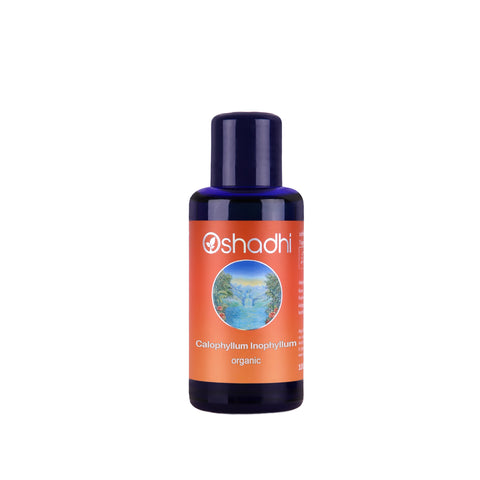 Oshadhi น้ำมันต้นกระทิงออร์แกนิค Calophyllum Inophyllum Oil, Organic (30 ml) - Organic Pavilion
