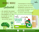 Organic Care2U Broccoli Organic Noodle Short Stick เส้นบะหมี่ออร์แกนิค รสบร็อคโคลี่ (200 g) - Organic Pavilion