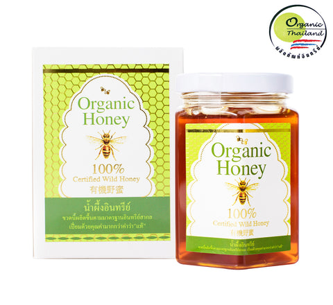 BigBee Thepprasit Organic Honey 100% Certified Wild Honey Mikania Flower (300gm) - Organic Pavilion