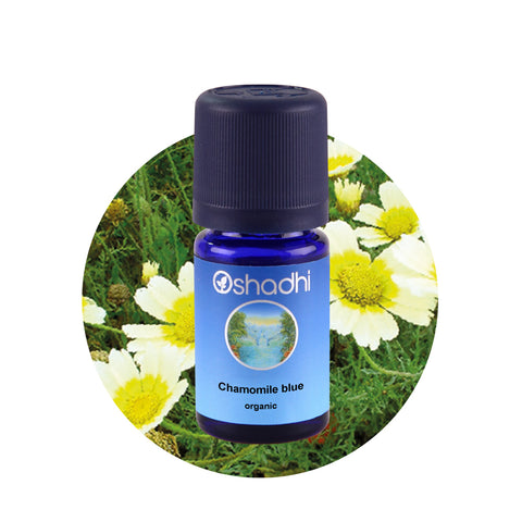 Oshadhi Cedar Chamomile blue organic Essential Oil  น้ำมันหอมระเหย (3 ml) - Organic Pavilion