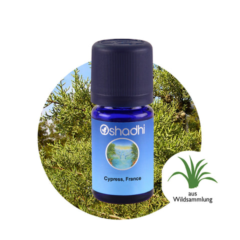 Oshadhi Cypress, France Essential Oil  น้ำมันหอมระเหย (10 ml) - Organic Pavilion