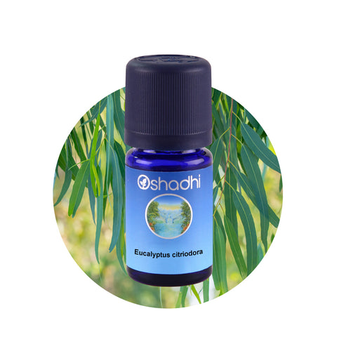 Oshadhi Eucalyptus citriodora Essential Oil น้ำมันหอมระเหย (10 ml) - Organic Pavilion