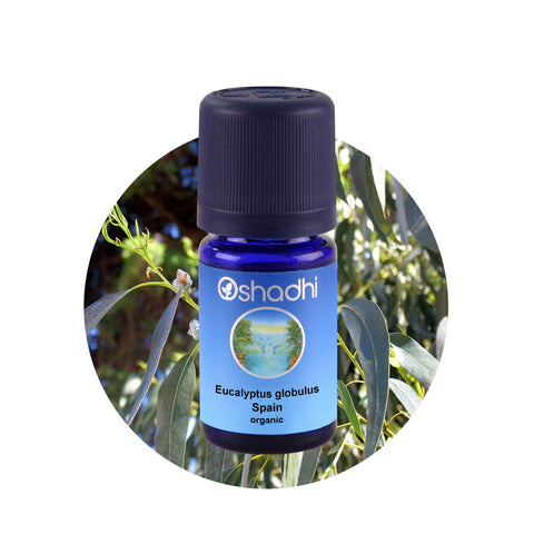 Oshadhi Eucalyptus globulus organic Essential Oil  น้ำมันหอมระเหย (10 ml) - Organic Pavilion