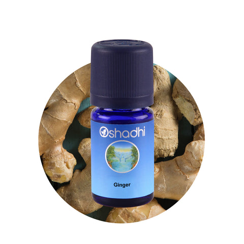 Oshadhi Ginger Essential Oil น้ำมันหอมระเหย (10 ml) - Organic Pavilion