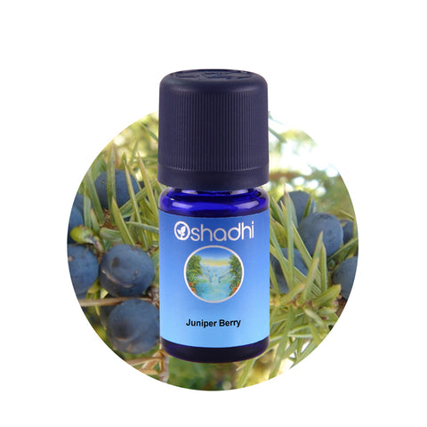 Oshadhi Juniper Berry Essential Oil น้ำมันหอมระเหย (10 ml) - Organic Pavilion