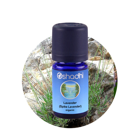 Oshadhi Lavender (Spike Laven- der) organic Essential Oil น้ำมันหอมระเหย (10 ml) - Organic Pavilion