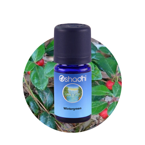 Oshadhi Wintergreen Essential Oilน้ำมันหอมระเหย (10 ml) - Organic Pavilion