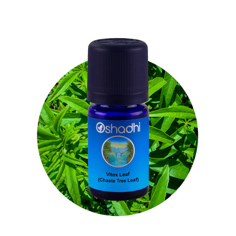 Oshadhi Vitex Leaf (Chaste Tree Leaf) Essential Oil น้ำมันหอมระเหย (10 ml) - Organic Pavilion