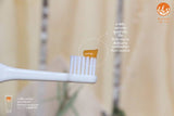 Korale Carrot - Yuzu Organic Toothpaste Xylitol Plus (30g) - Organic Pavilion