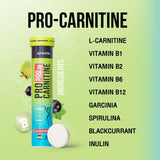 Apovita Pro-Carnitine เม็ดฟู่เพิ่มการเผาผลาญ เพิ่มมวลกล้ามเนื้อ ฟื้นฟูร่างกายหลังออกกำลังกาย ดักแป้ง ลดน้ำหนัก 90 g. - Organic Pavilion