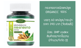 Gathong Fingerroot Extract Krachai Koa Capsules ผลิตภัณฑ์เสริมอาหาร กระชายขาว ชนิดแคปซูล (60 Capsules) - Organic Pavilion