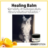 Doggy Potion Healing Balm for pets (20 g) - Organic Pavilion
