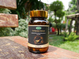 Dr. Surapol Cordyceps 1000 mg. ผลิตภัณฑ์เสริมอาหาร ถั่งเช่าสกัด 1,000 มิลลิกรัม ตรา ดร.สุรพล (30 Capsules) - Organic Pavilion